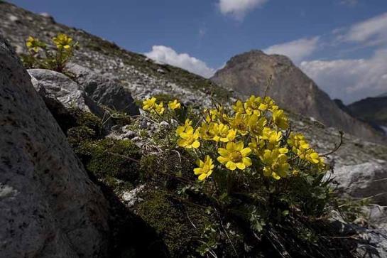 Pension (Hôtel basse catégorie) Alte-stube Gasthof 6