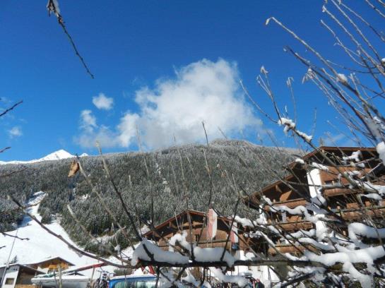 Hôtel Zum Holzknecht 13