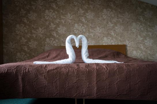 Verslo Klase Hotel Panevezys 2