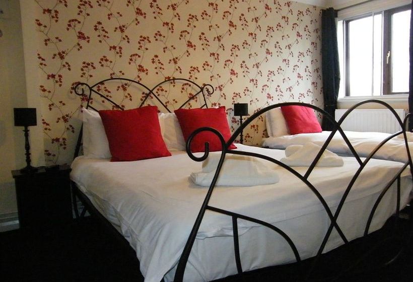 Hotel The Swan Inn 10