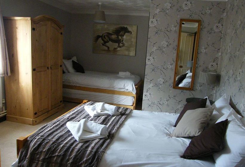 Hotel The Swan Inn 4