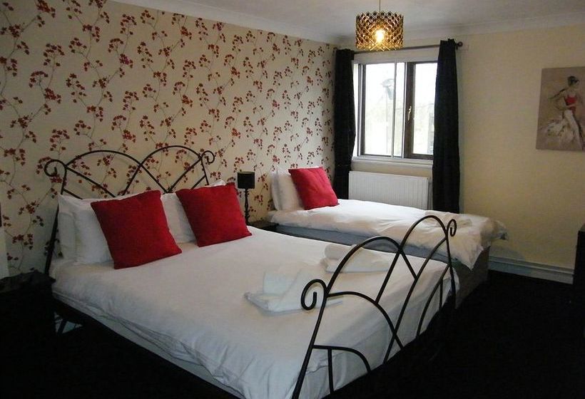 Hotel The Swan Inn 9