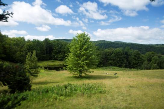 Hotel The Old George Inn 4