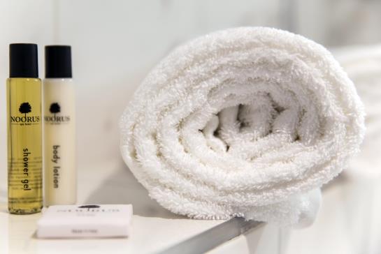 Noorus Spa Hotel 5