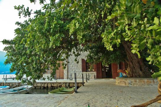 Eco Hotel Carrubba 6