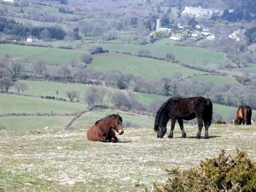 Hotel Grosvenor House 15