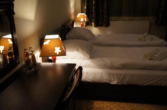 Hotel Dworska Elektrownia 10