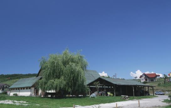 Hotel Conacul Archia