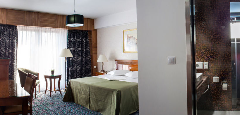 Oltenia Hotel Craiova 7