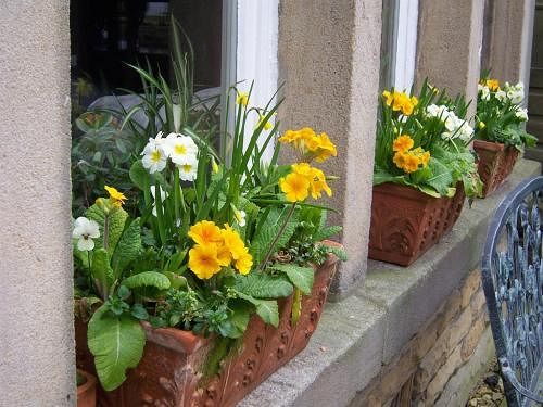 Bed and Breakfast Spring Lodge 18