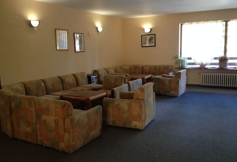 Hotel Bor & Edelweiss - Bor (pine)