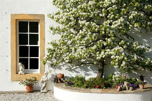 Pensión Letham House 11