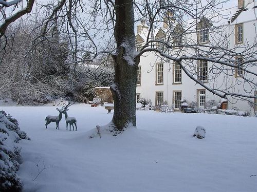 Pensión Letham House 18