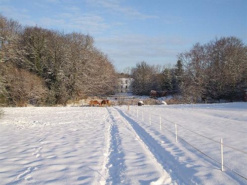 Pensión Letham House 19