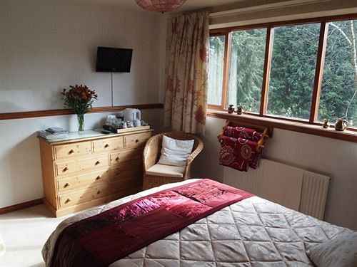 Bed & Breakfast Tree Garth 5