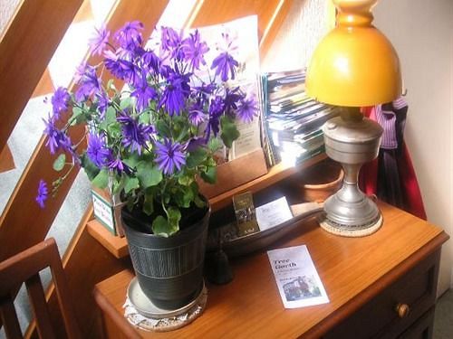 Bed & Breakfast Tree Garth 9