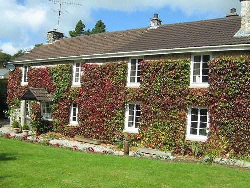 Bed and Breakfast Ivy Cottage Bed&Breakfast 2