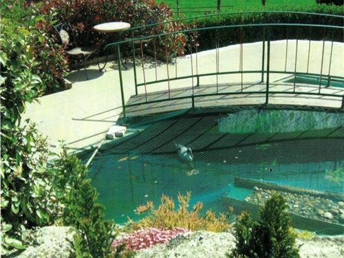 Bed and Breakfast Ivy Cottage Bed&Breakfast 5