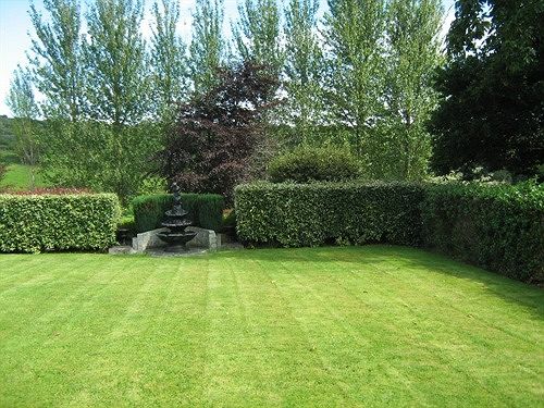 Bed and Breakfast Ivy Cottage Bed&Breakfast 9