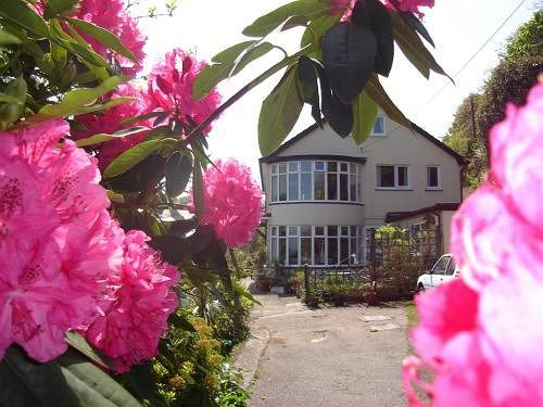 Bed & Breakfast Gallen-treath Guest House 6