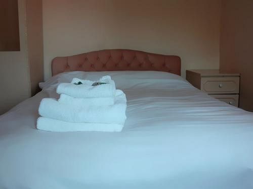 Hôtel Shelford Lodge 3