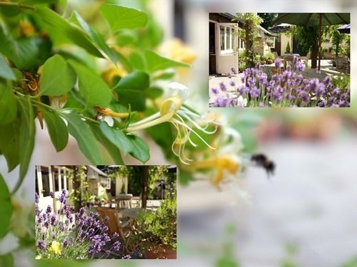 Hotel The Jolly Tar 4