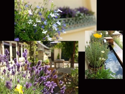 Hotel The Jolly Tar 5