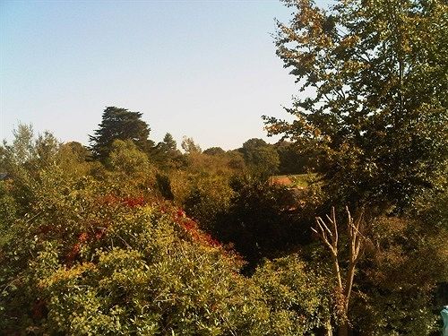 Bed and Breakfast Forest Gate Lodge 3