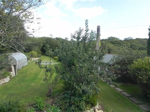 Bed and Breakfast Woodpeckers