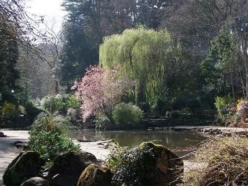 Bed and Breakfast Miricia 6