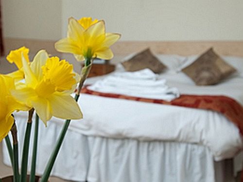 Hôtel White Hart Inn 4