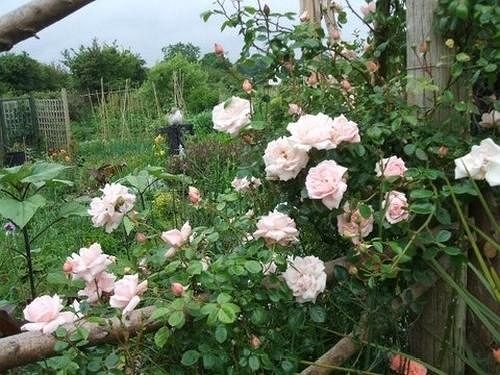 Cross Close House B&b 7