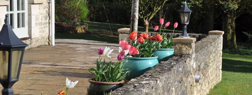 Bed & Breakfast Still Meadow 1