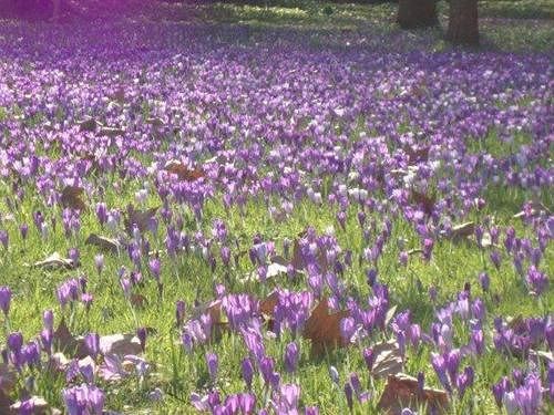 Damson Cottage B&b 10