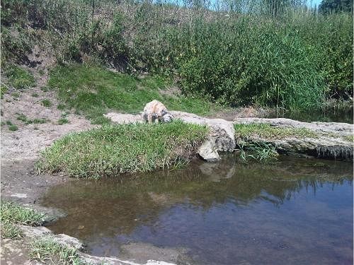 Damson Cottage B&b 11