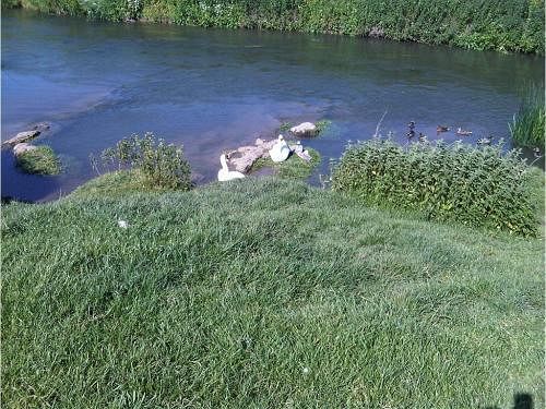 Damson Cottage B&b 9