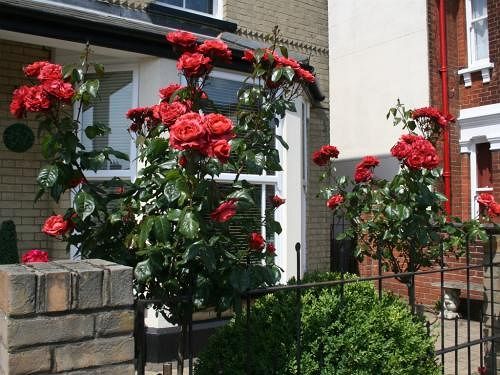 Cranmoor House - B&b 6