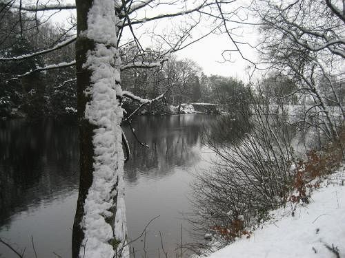 Pension Brookhouse Guest House 9