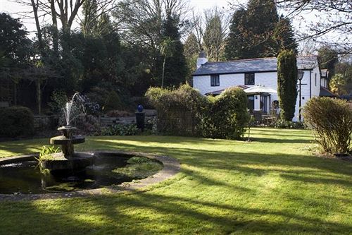 Little Grey Cottage B&b 4