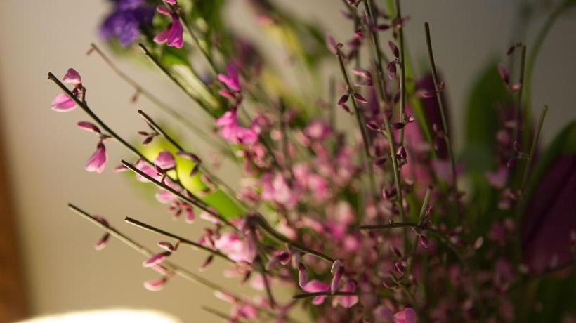 Bed and Breakfast Cottage Lodge 13