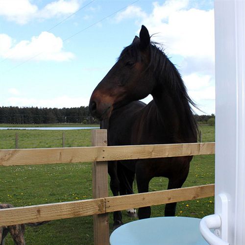 Bed and Breakfast Redlands Country Lodge Guest House 1