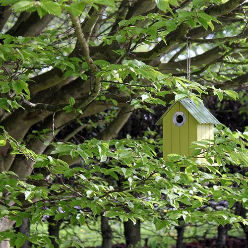 Bed and Breakfast Redlands Country Lodge Guest House 4