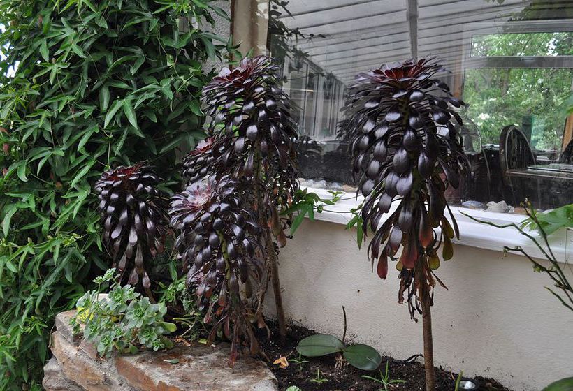 Hôtel The Smugglers Inn 2