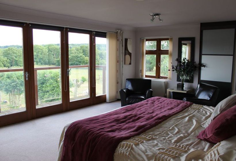 Homelea Bed And Breakfast 13