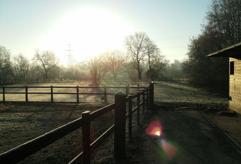 Homelea Bed And Breakfast 15