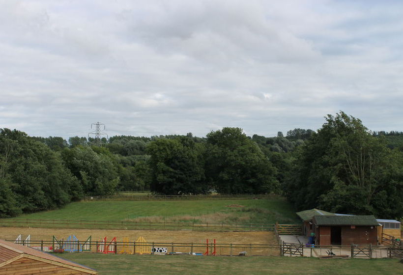 Homelea Bed And Breakfast 16