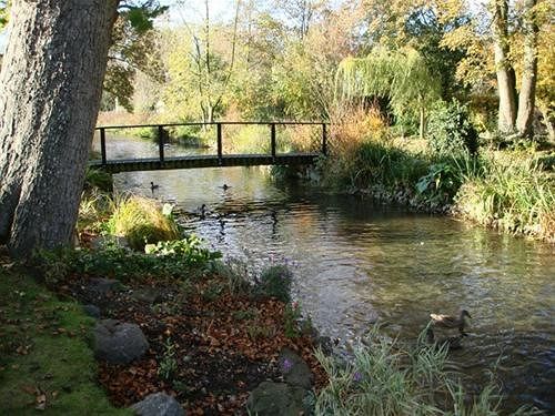 Bed and Breakfast Mallards In Overton Bed&Breakfast 2