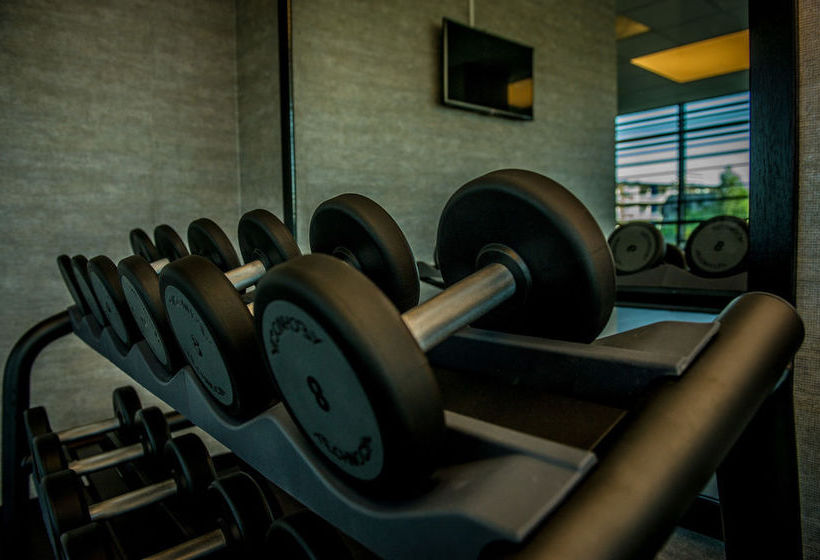 Apollo Hotel Groningen 2