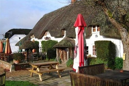 Hotel The Hatchet Inn 5