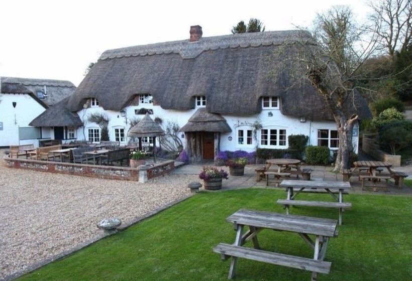 Hotel The Hatchet Inn 6